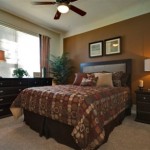 Orion at Oak Hill Apartment Bedroom