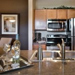 Orion at Oak Hill Apartment Kitchen