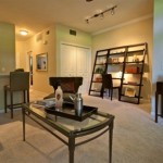Orion at Oak Hill Apartment Model